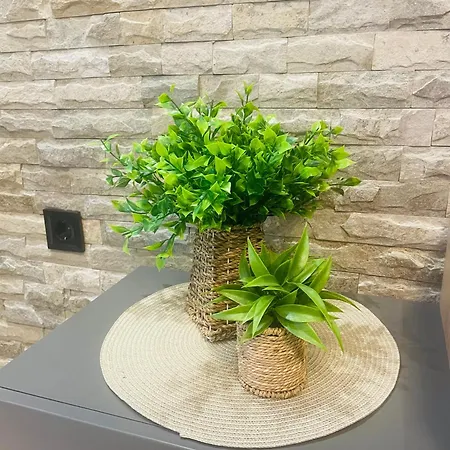 Apartment гончеви