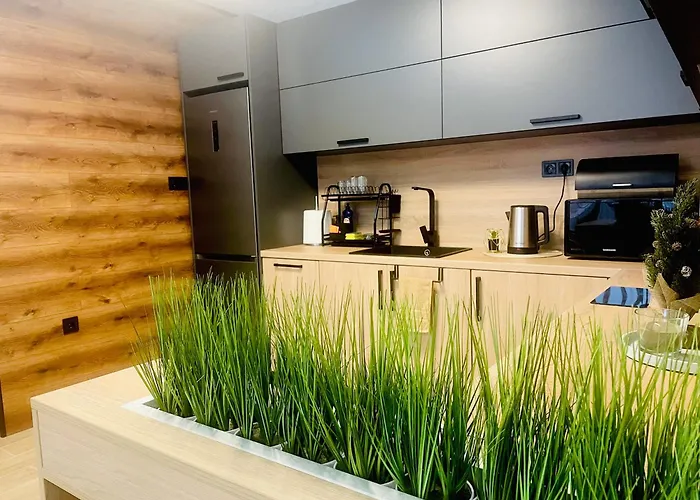 гончеви * Velingrad